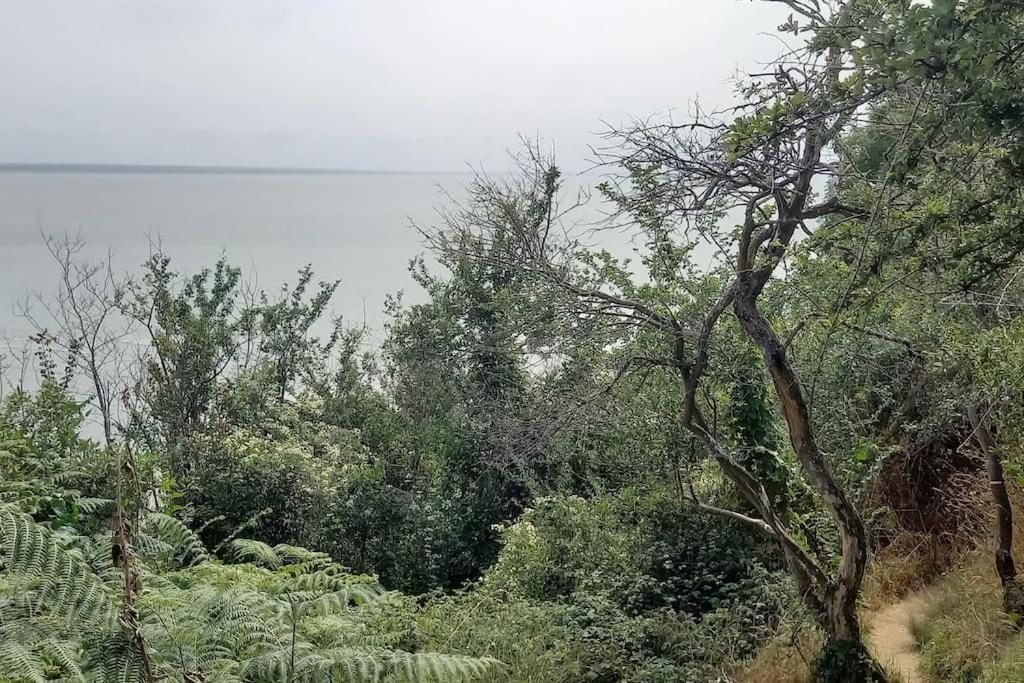 Maison Vue Sur Le Mont Saint Michel Et Sa Baie Champeaux Εξωτερικό φωτογραφία